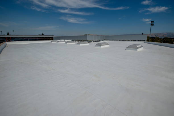 Best Skylight Installation and Repair  in Blythe, CA
