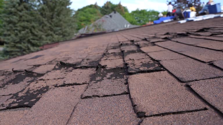 Best Rubber Roofing (EPDM, TPO)  in Blythe, CA