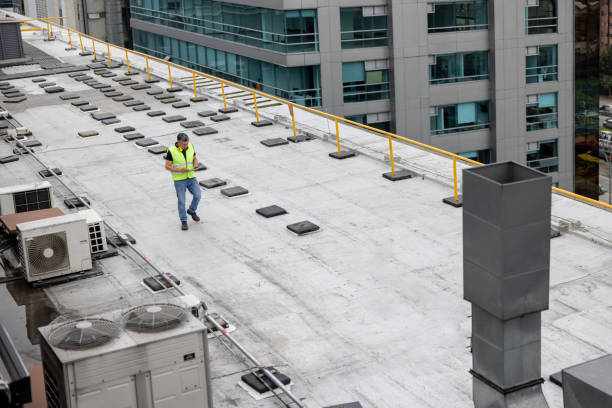 Best Roof Moss and Algae Removal  in Blythe, CA